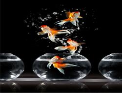  Öntapadós tapéta Összetétel35, 200 x 150 cm