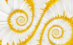  Tapéta Fehér spirálok, 400 x 250 cm