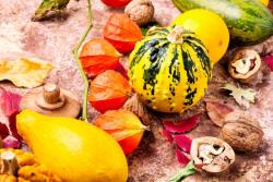  Blueback MAT tapéta, kompozíció 21, 250 x 200 cm