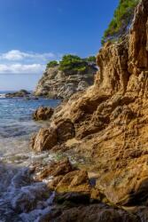  Öntapadós tapéta Natura145, 150 x 205 cm