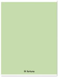 Fortuna Füzet kockás FORTUNA Monocolor A/4 32 lapos 87-32 pasztell zöld (01.08660) - vectraline