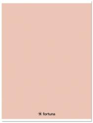 Fortuna Füzet kockás FORTUNA Monocolor A/5 32 lapos 27-32 pasztell barack (01.08669) - vectraline