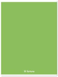 Fortuna Füzet kockás FORTUNA Monocolor A/4 32 lapos 87-32 zöld (01.08664) - vectraline