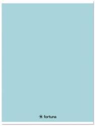 Fortuna Füzet kockás FORTUNA Monocolor A/5 32 lapos 27-32 pasztell kék (01.08670)