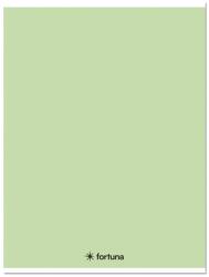 Fortuna Füzet kockás FORTUNA Monocolor A/5 32 lapos 27-32 pasztell zöld (01.08672) - vectraline