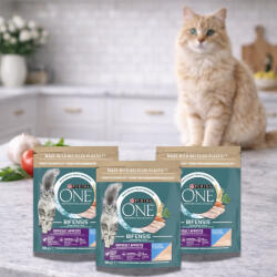Purina One Difficult Appetite száraz macskaeledel tőkehallal és pisztránggal (3x800 g)