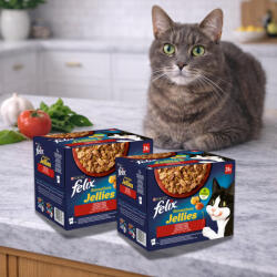 Purina Felix Sensations Jellies alutasakos macskaeledel házias válogatás aszpikban (48x85 g)