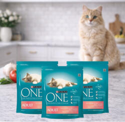 Purina One száraz macskaeledel lazaccal (3x800 g)