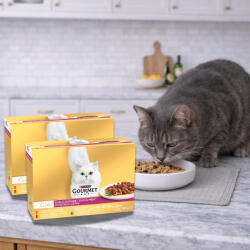 Purina Gourmet Gold alutasakos macskaeledel duó élmény (24x85 g)