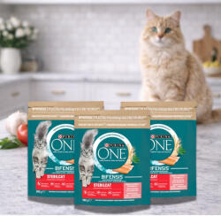 Purina One Sterilcat száraz macskaeledel lazaccal (3x800 g)