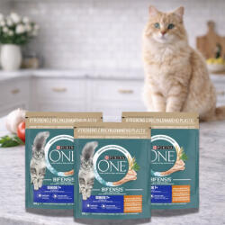 Purina One Senior száraz macskaeledel csirkével (3x800 g)