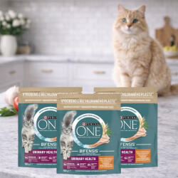 Purina One Urinary Health száraz macskaeledel csirkével (3x800 g)