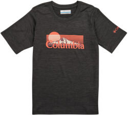 Columbia Tricouri mânecă scurtă Băieți Mount Echo Short Sleeve Graphic Shirt Columbia Gri EU M
