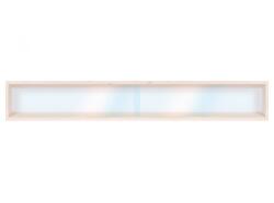 Vitrine Fali vitrin modell szekrény 1 polc 100 x 11 x 8, 5 cm makett kisautó, modellvasút gyűjtő plexi tolóajtóval