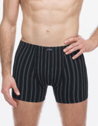 Gino Boxeri bărbați Gino multicolori (74178-MxCDMZ) XXL (183859)