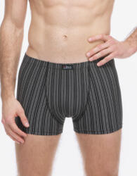 Gino Boxeri bărbați Gino multicolori (73138-MxCDxG) XL (183872)