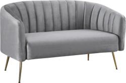 Ramely Canapea de design cu 2 locuri, tesatura Velvet gri/gold crom-auriu, BAGY Canapea