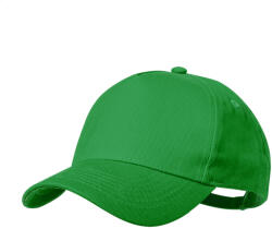 Gibson baseball sapka (AP733932-07)