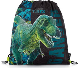 KARTON P+P Dinoszaurusz tornazsák 30x37cm, T-REX, zöld-fekete (KPP-3-09724)