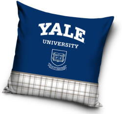 Carbotex Yale University párnahuzat 40x40 cm (CBX213008YALE)