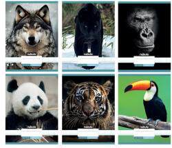 Nebulo Vegyes mintás tűzött füzet A/4, 32 lap, kockás, Állatos minták, Nebulo (ALI-NR-AM-A4)