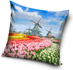 Carbotex Amsterdam párnahuzat 40x40 cm (CBX214073PNL)