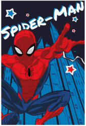 Global Licence Srl Pókember polár takaró - 100 x 150 cm - 2 (SPM1420-B)