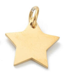  Arany Színű Nemesacél Csillag Charm