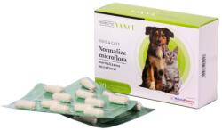  VANCE VANCE Probiotic Normalizarea Microflorei, supliment sistem digestiv câini și pisici, capsule VANCE Probiotic Normalizarea Microflorei, XS-XL, supliment sistem digestiv câini și pisici, cutie, 30
