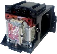 NEC NP-9LP01 lampă generică cu modul (NP-9LP01)