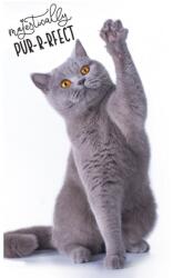 TipTrade Pamut frottír törölköző 30x50 cm - Őfelsége a macska (T-443442)