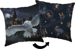 Jerry Fabrics Dekoratív párna 40x40 cm - Harry Potter "Roxfort (J-24CS046)