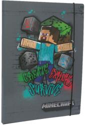 MINECRAFT Папка с ластик Minecraft - Steve, А4 (65800_gray)