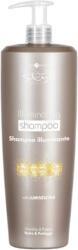 Hair Company Professional Hair Company Inimitable Style Illuminating Shampoo 1000 ml