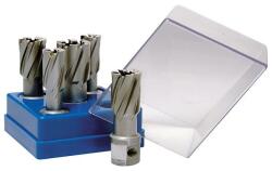BDS Maschinen Set carote carbura scurte BDS, prindere Weldon 3/4" (19mm), 5 bucati (HKKBOX)