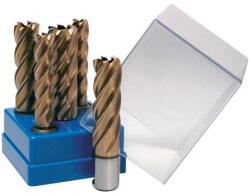 BDS Maschinen Set carote lungi HSS BDS VarioPlus, prindere Weldon 3/4" (19mm), 5 bucati (KBL-VPBOX)