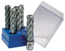 BDS Maschinen Set carote standard scurte HSS BDS VarioPlus, prindere Weldon 3/4" (19mm), 5 bucati (KBLBOXSTANDARD)