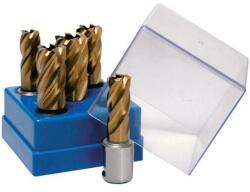 BDS Maschinen Set carote scurte HSS BDS VarioPlus, prindere Weldon 3/4" (19mm), 5 bucati (KBK-VPBOX)