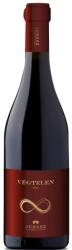 JUHÁSZ TESTVÉREK PINCÉSZETE Egri Végtelen Cuvée [0, 75L|2022]