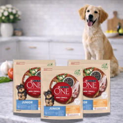 Purina One Mini Junior száraz kutyaeledel csirkével (3x800 g)