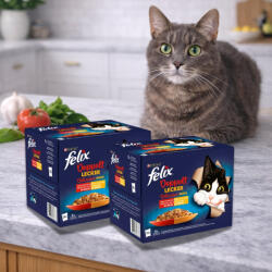 Purina Felix Fantastic Duo alutasakos macskaeledel házias válogatás aszpikban (48x85 g)