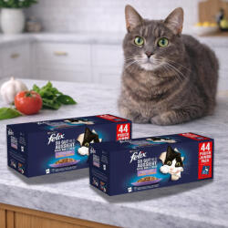 Purina Felix Fantastic alutasakos macskaeledel házias válogatás (88x85 g)