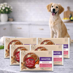 Purina One Mini Sensitive/Delicate alutasakos kutyaeledel lazaccal (5x4x85 g)