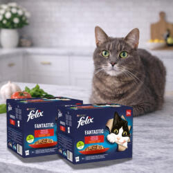 Purina Felix Fantastic alutasakos macskaeledel házias válogatás (48x85 g)