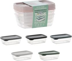 Hobby Life Set de 3 recipiente dreptunghiulare TREND BOX 0, 6L *8861 (CH-HOB021015)