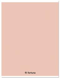 Fortuna Füzet kockás FORTUNA Monocolor A/5 32 lapos 27-32 pasztell barack (01.08669) - tonerpiac