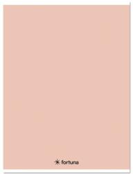 Fortuna Füzet kockás FORTUNA Monocolor A/4 32 lapos 87-32 pasztell barack (01.08656) - tonerpiac