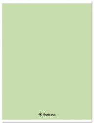 Fortuna Füzet kockás FORTUNA Monocolor A/4 32 lapos 87-32 pasztell zöld (01.08660) - tonerpiac