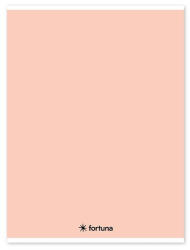 Fortuna Füzet vonalas FORTUNA Monocolor A/4 32 lapos 81-32 pasztell barack (01.02104)