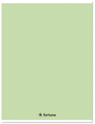 Fortuna Füzet kockás FORTUNA Monocolor A/4 32 lapos 87-32 pasztell zöld (01.08660) - robbitairodaszer